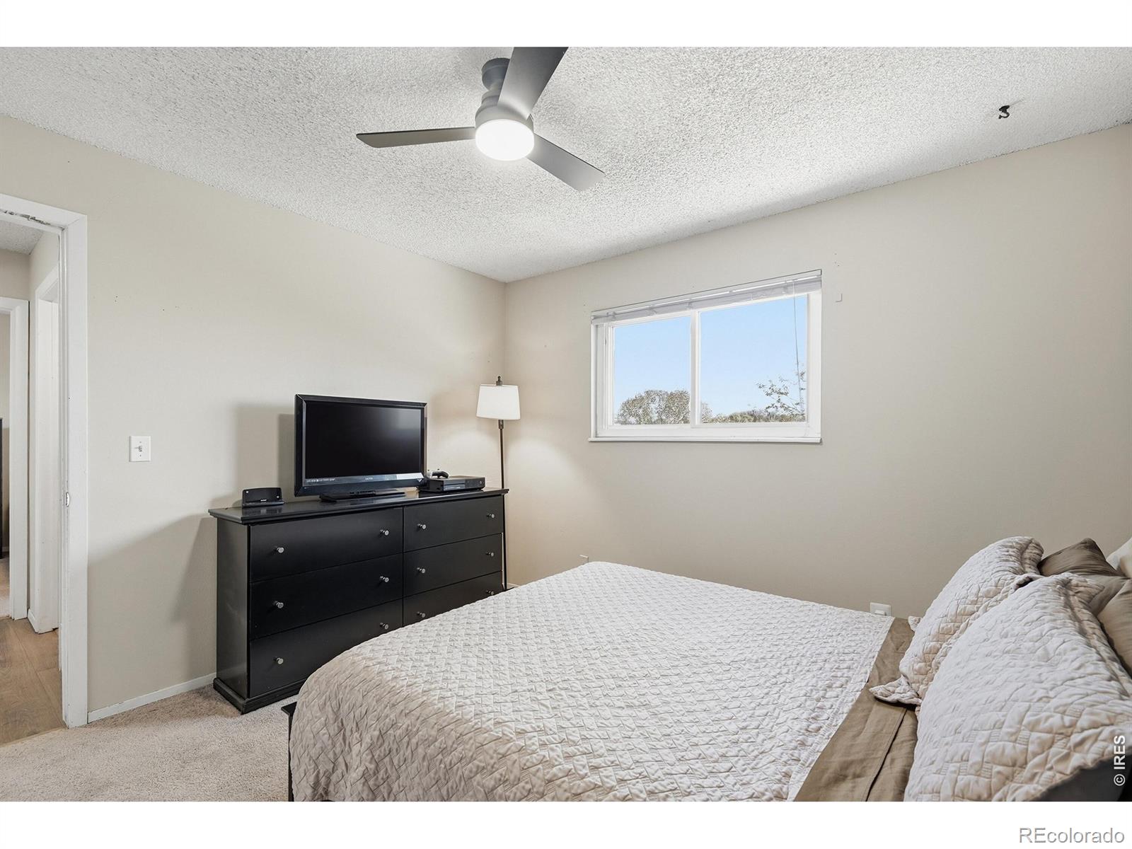 MLS Image #12 for 539  cora place,loveland, Colorado
