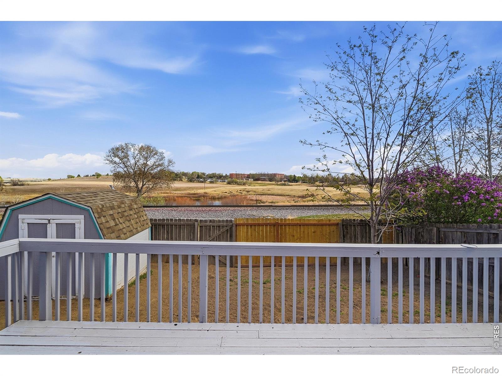 MLS Image #4 for 539  cora place,loveland, Colorado