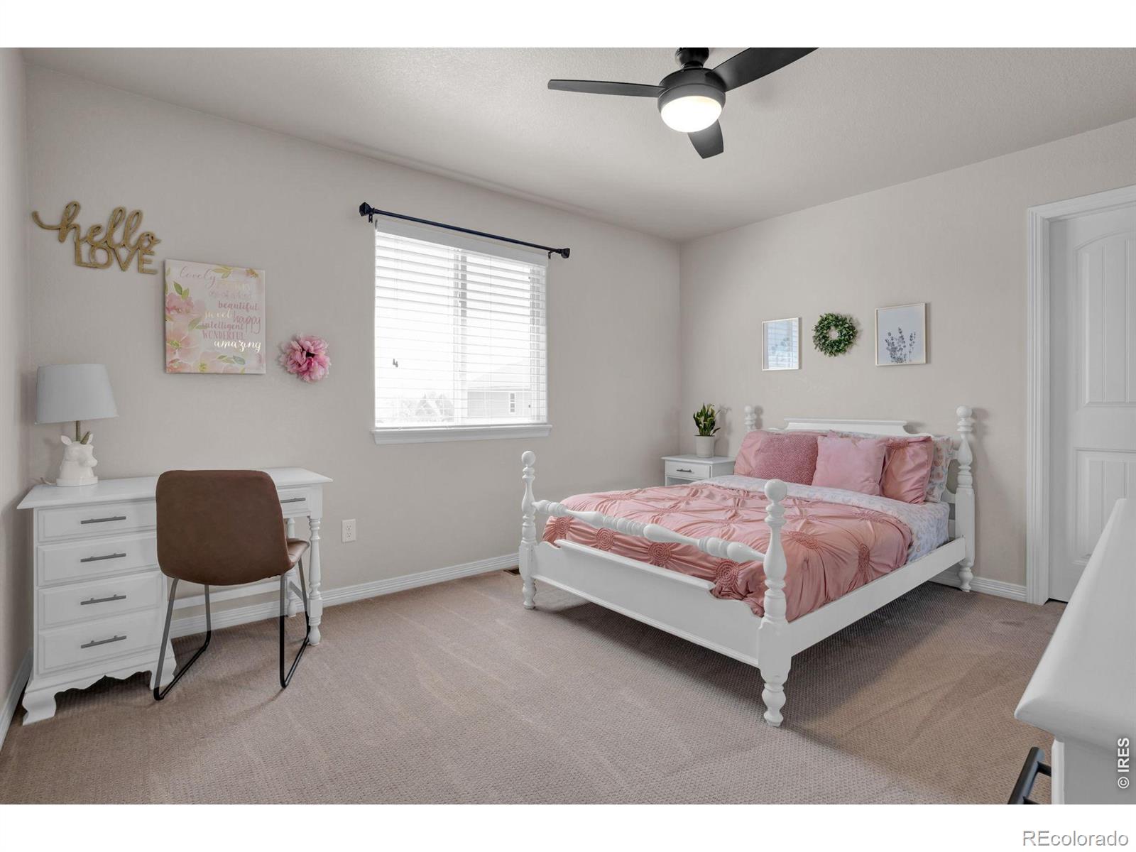 MLS Image #10 for 3857  mount hope street,wellington, Colorado