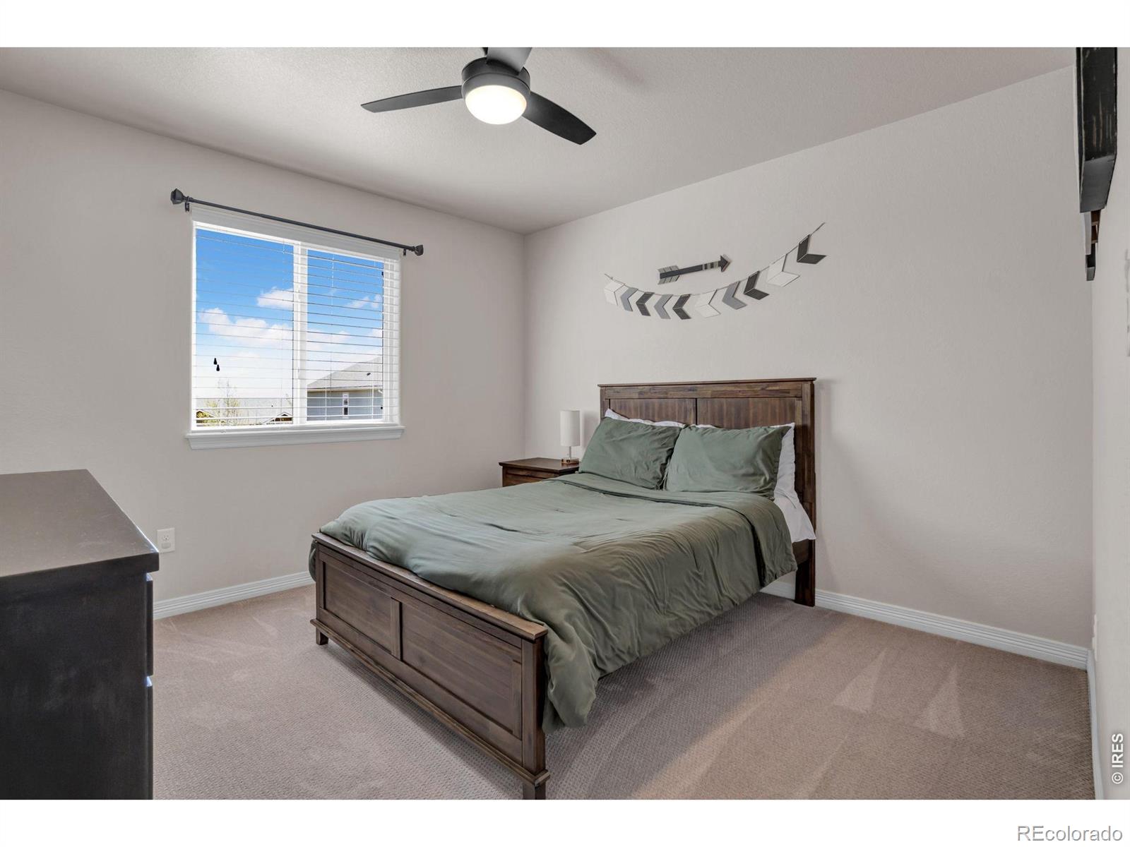 MLS Image #11 for 3857  mount hope street,wellington, Colorado