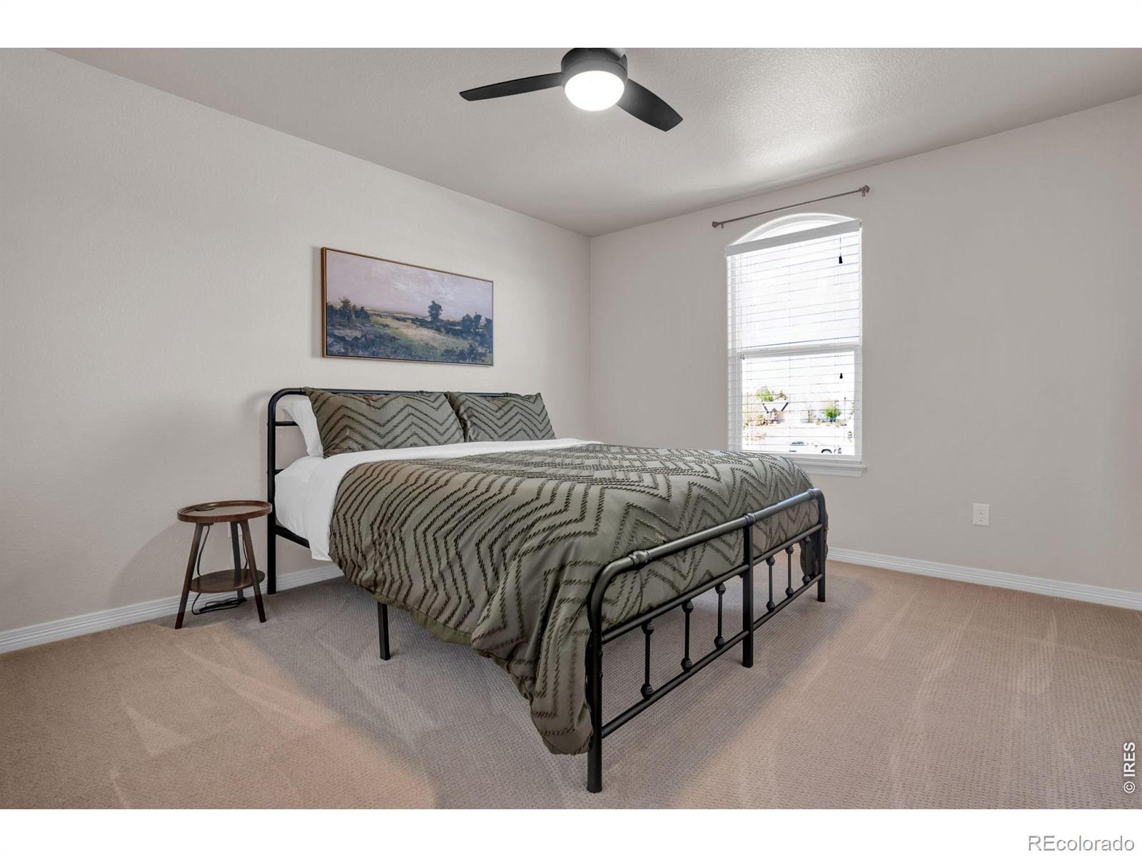 MLS Image #12 for 3857  mount hope street,wellington, Colorado