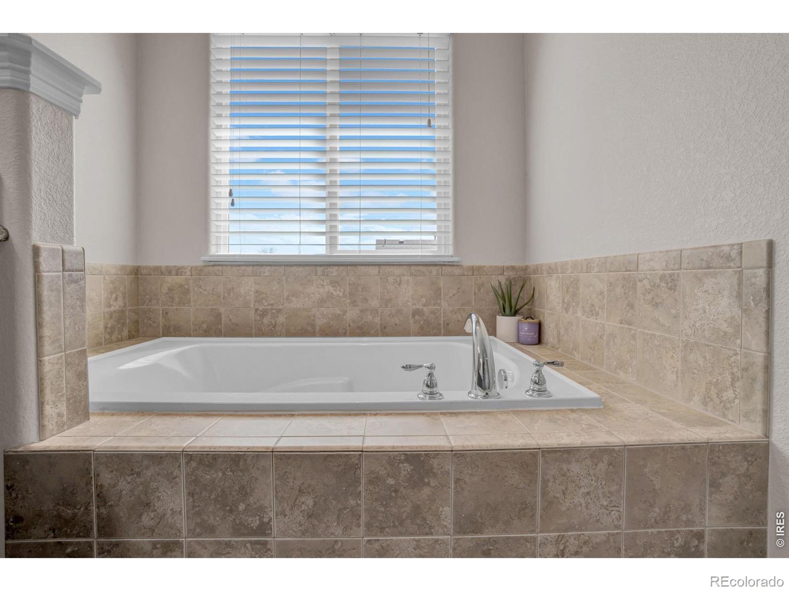 MLS Image #9 for 3857  mount hope street,wellington, Colorado