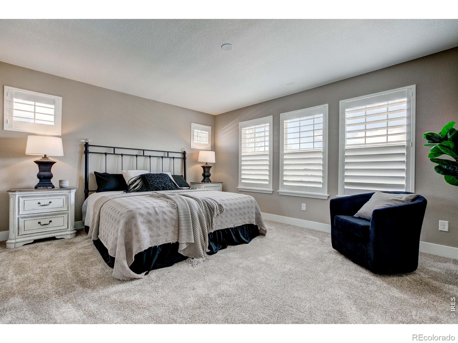 MLS Image #14 for 1648  venice lane,longmont, Colorado