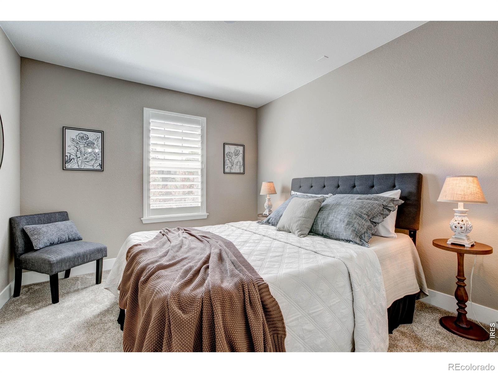 MLS Image #20 for 1648  venice lane,longmont, Colorado