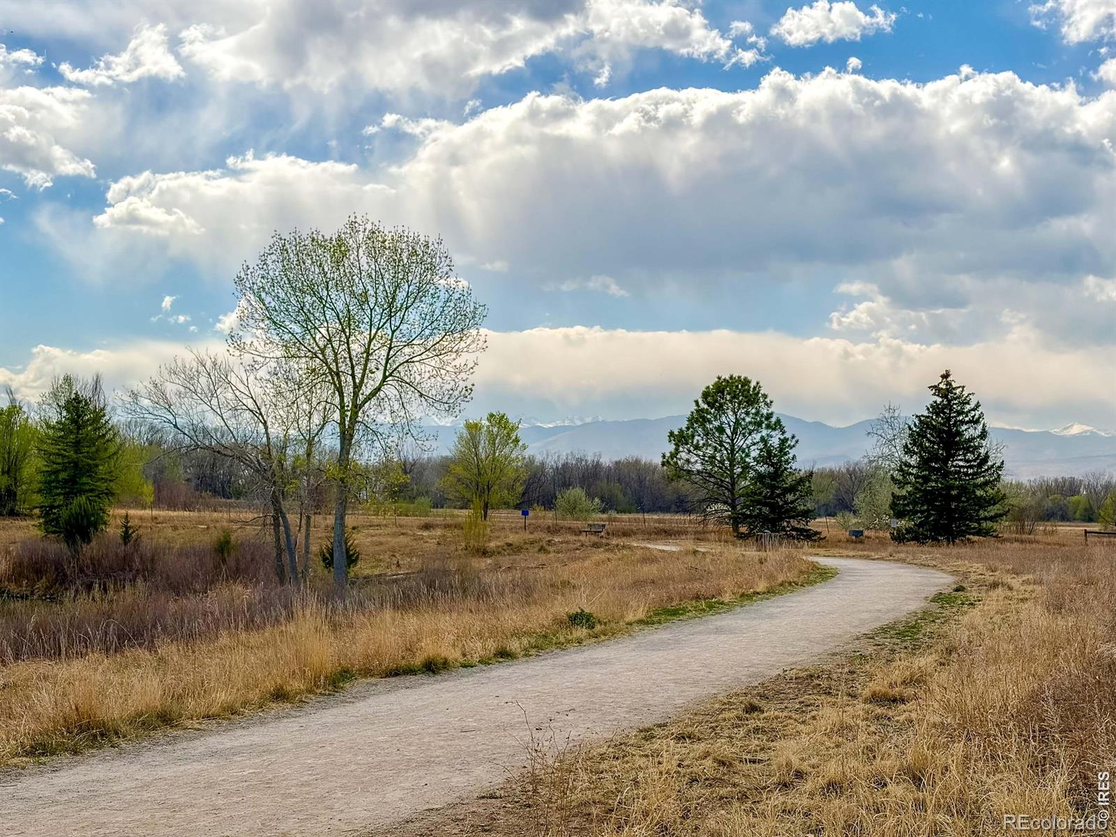 MLS Image #27 for 1648  venice lane,longmont, Colorado