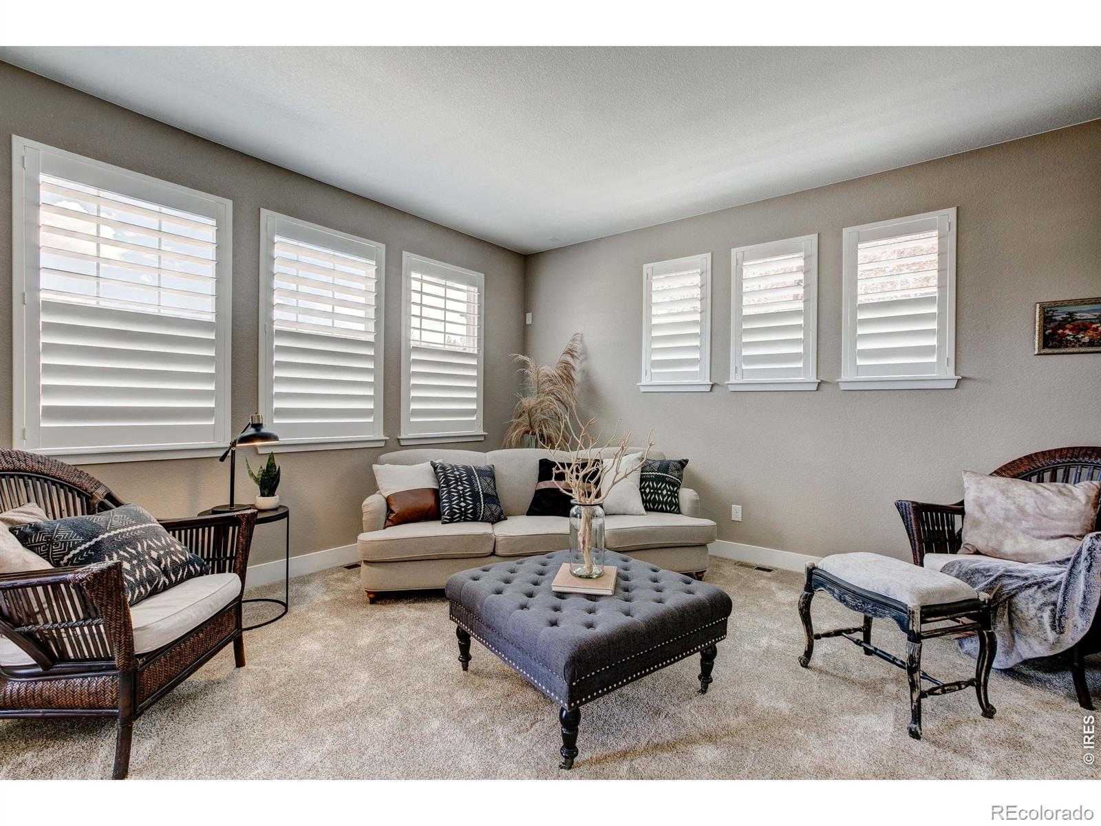 MLS Image #4 for 1648  venice lane,longmont, Colorado