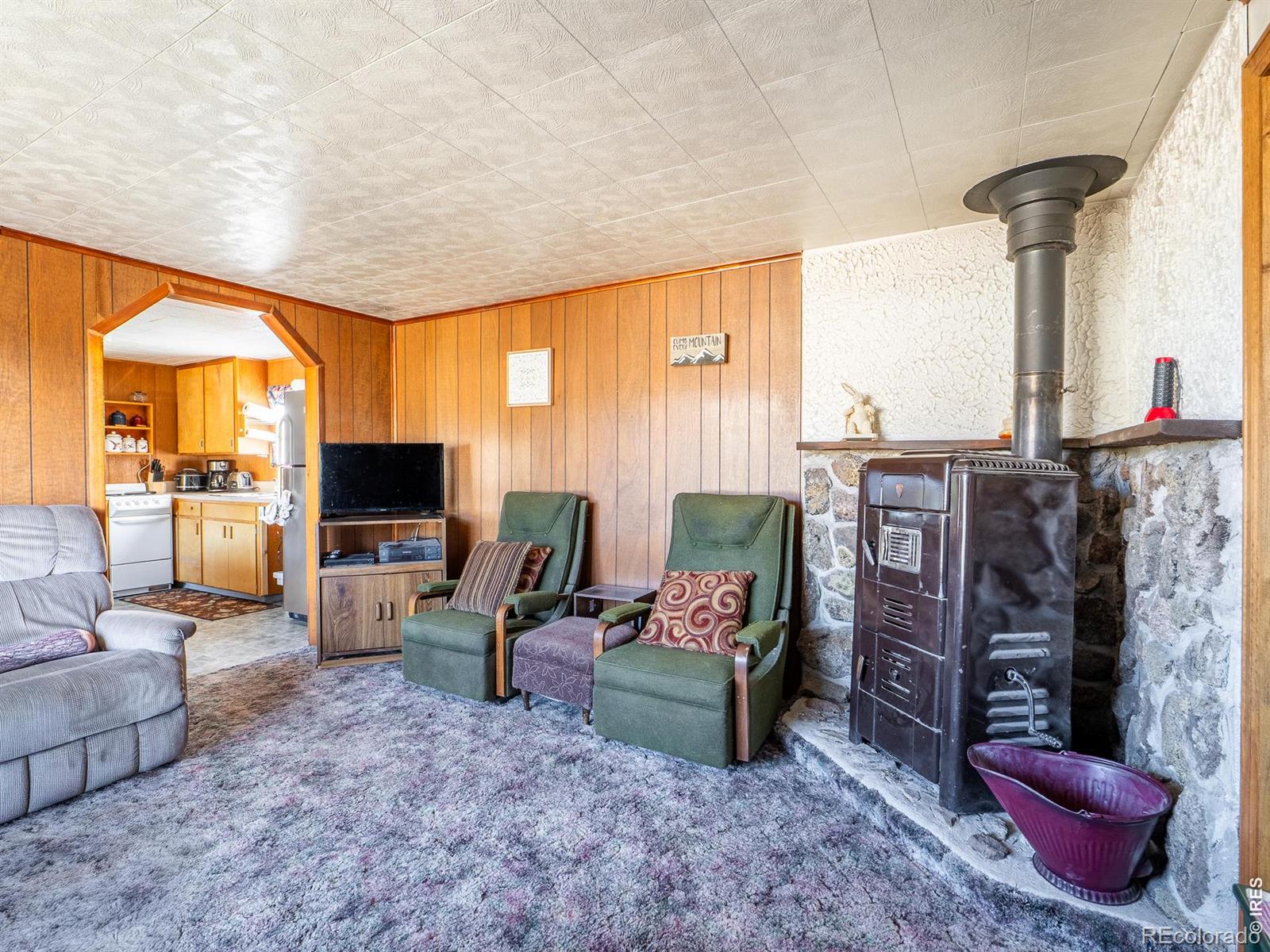 MLS Image #5 for 843  nokomis road,red feather lakes, Colorado