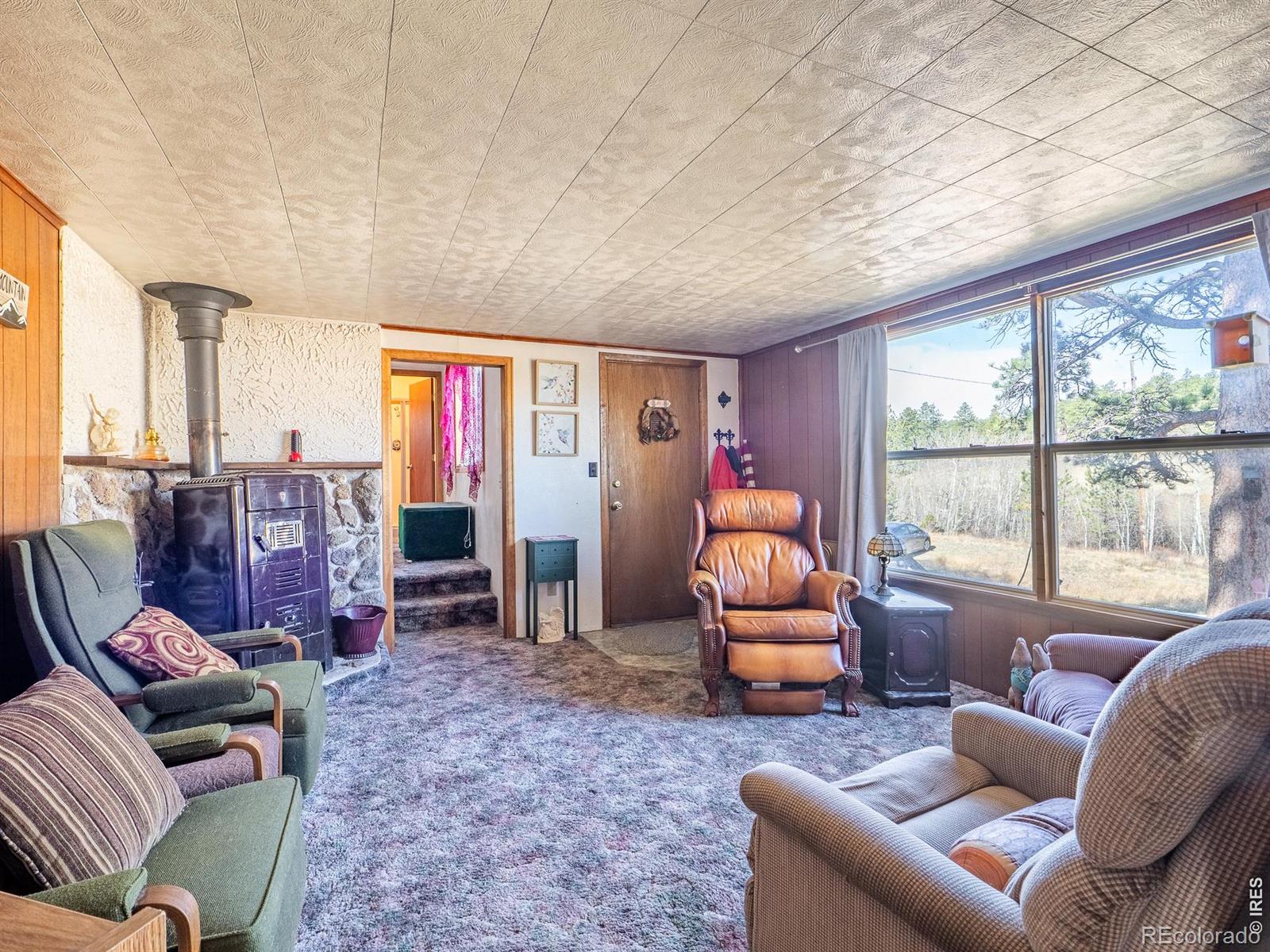 MLS Image #6 for 843  nokomis road,red feather lakes, Colorado