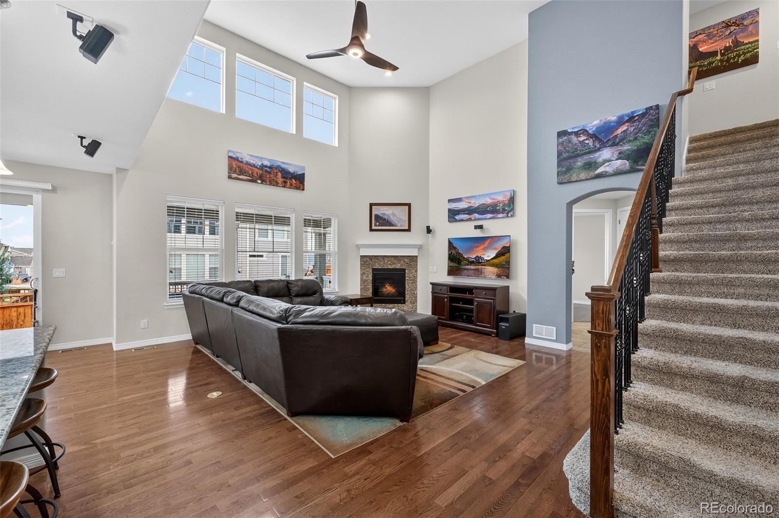MLS Image #6 for 2656  leafdale circle,castle rock, Colorado