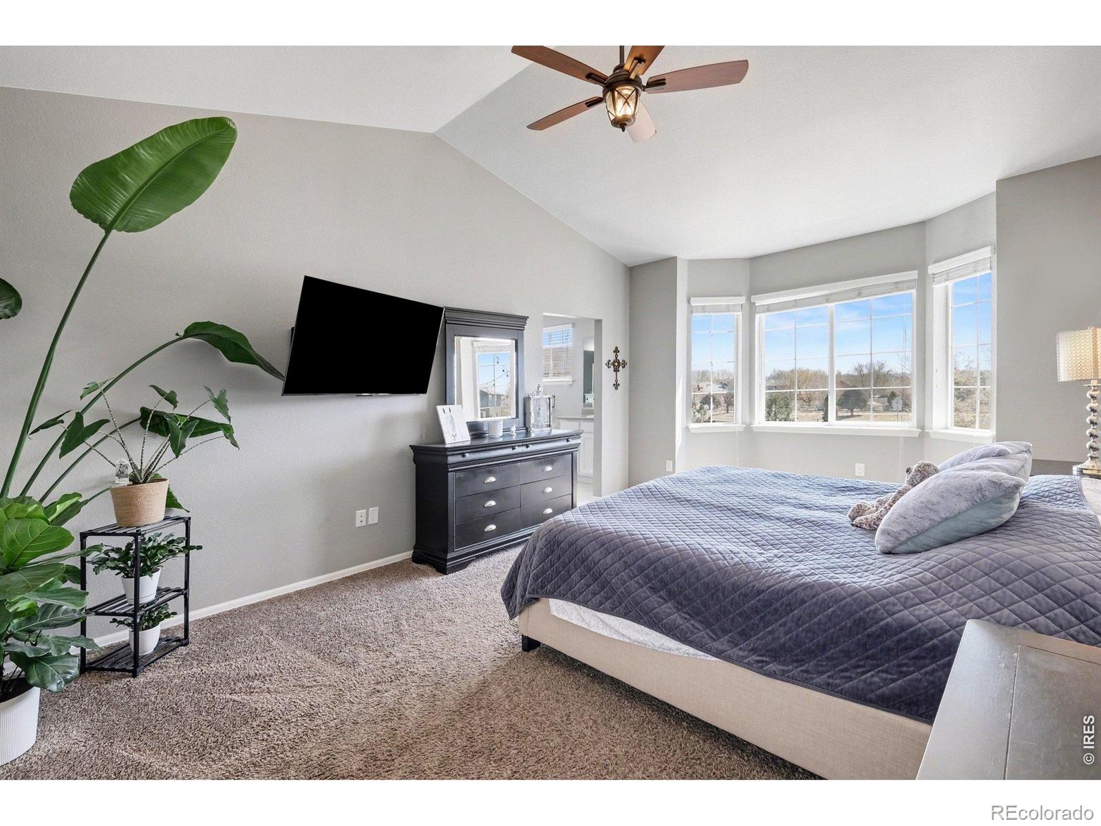 MLS Image #16 for 10038  buttesfield street,firestone, Colorado