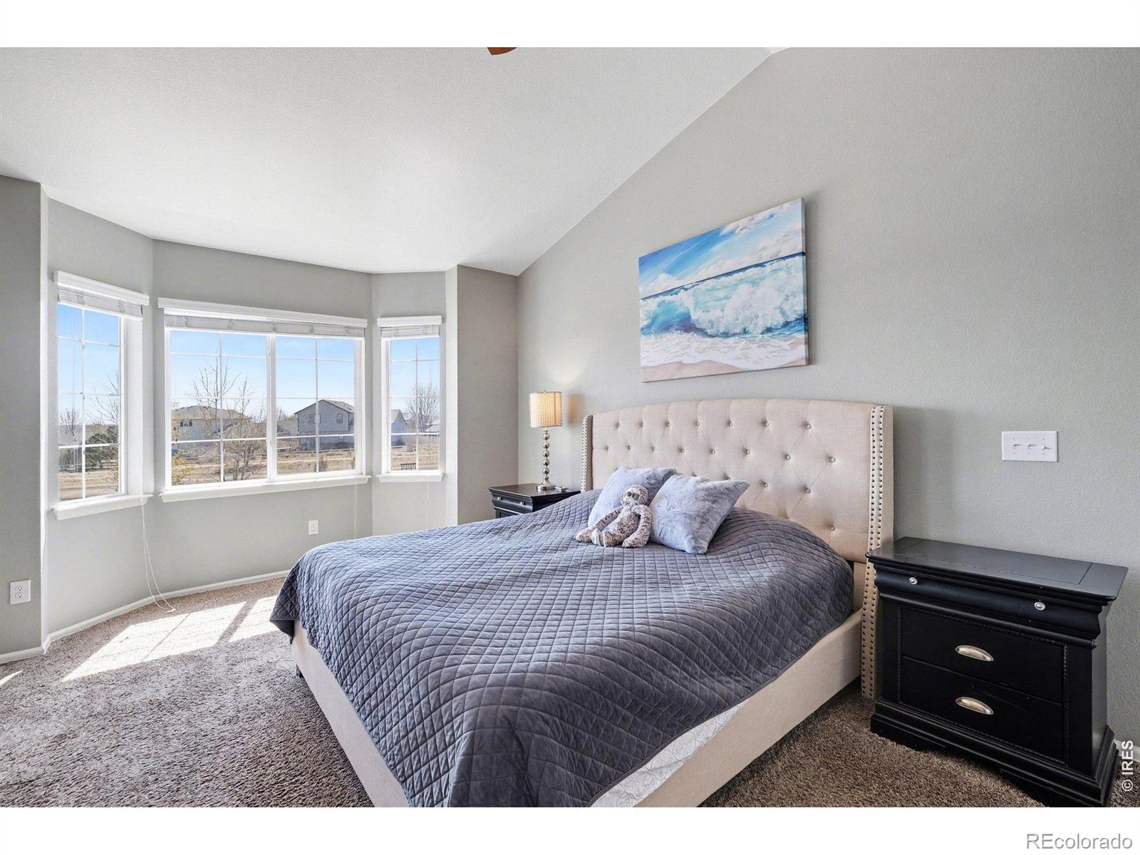 MLS Image #17 for 10038  buttesfield street,firestone, Colorado