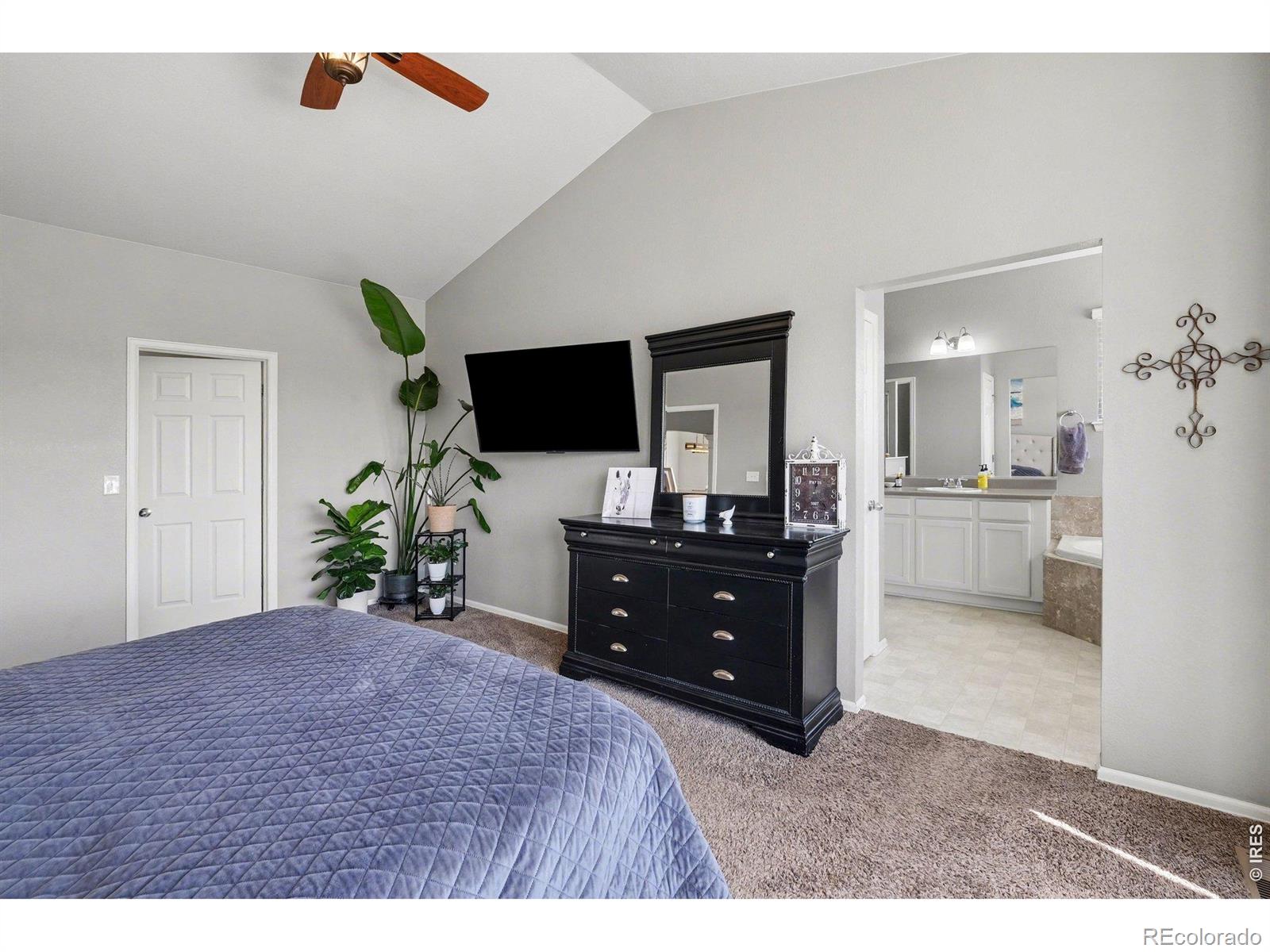 MLS Image #19 for 10038  buttesfield street,firestone, Colorado