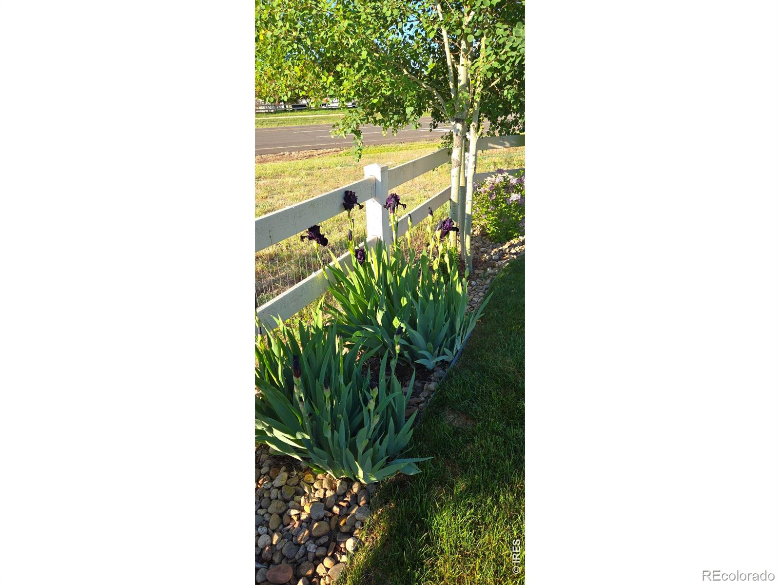 MLS Image #46 for 10038  buttesfield street,firestone, Colorado