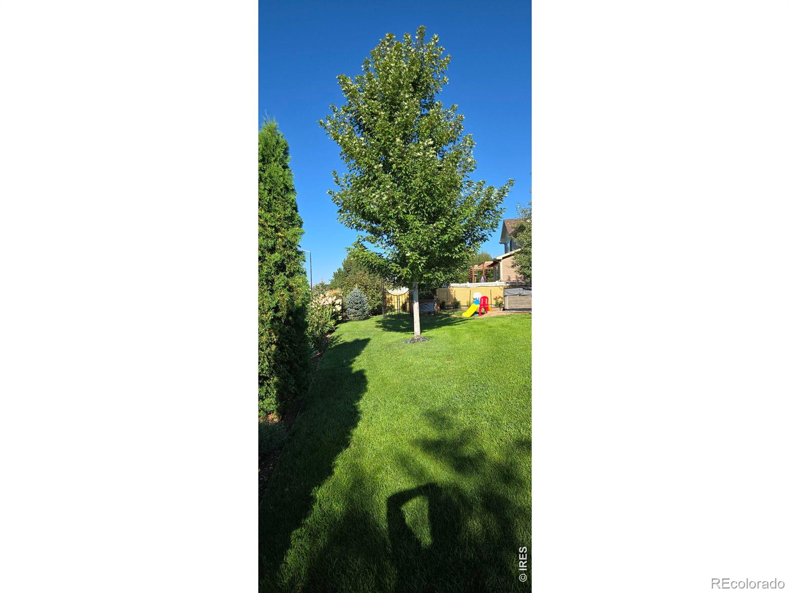 MLS Image #48 for 10038  buttesfield street,firestone, Colorado