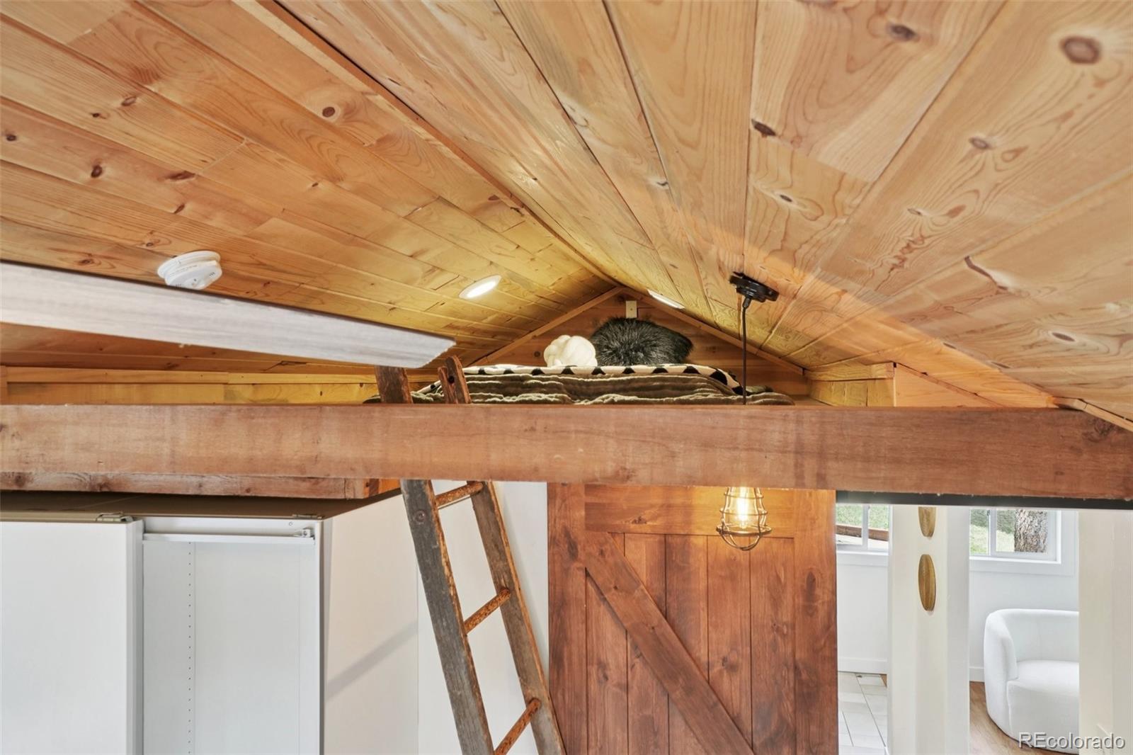 MLS Image #21 for 29772  spruce road,evergreen, Colorado