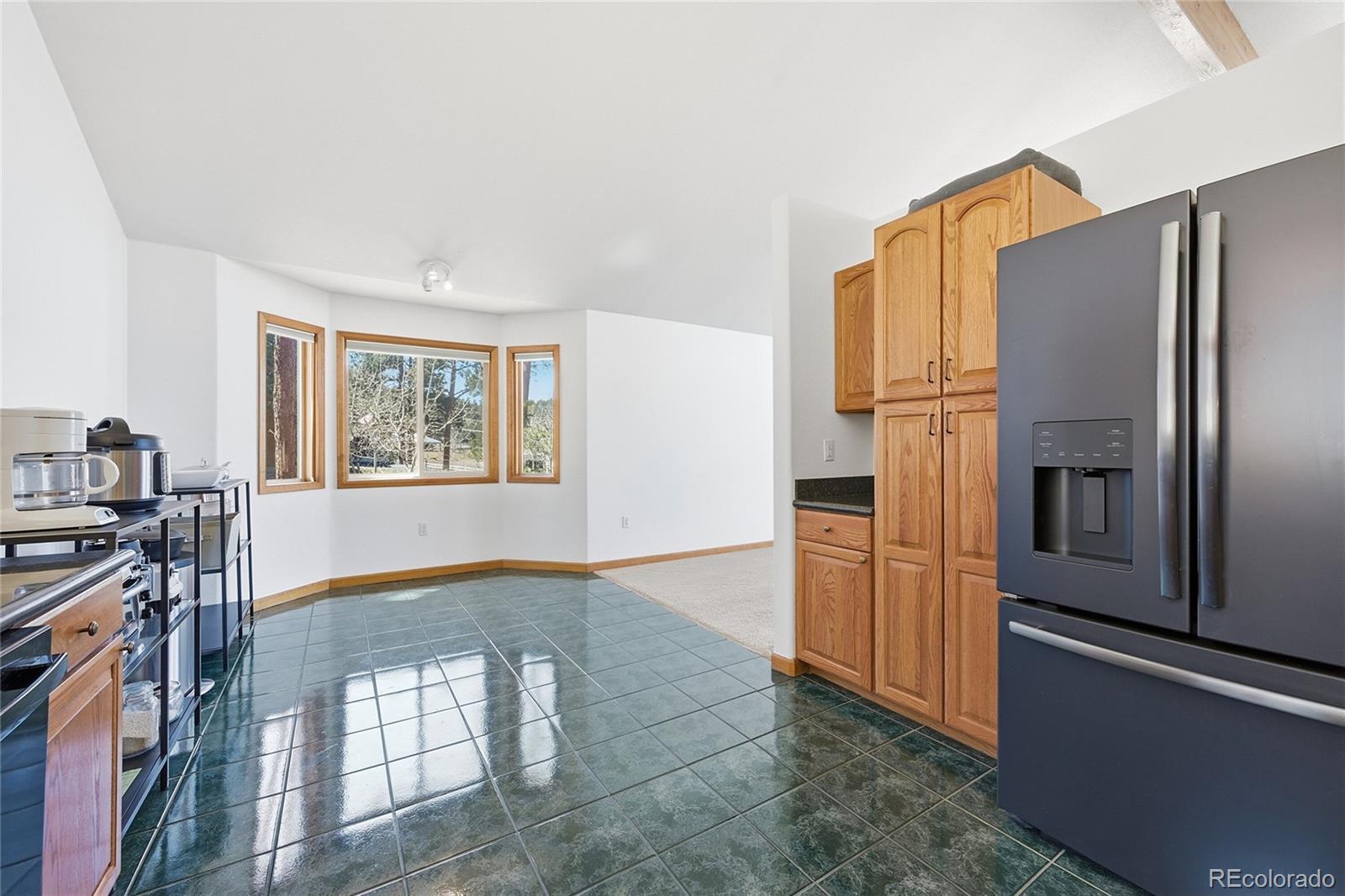 MLS Image #13 for 146 s random road,bailey, Colorado
