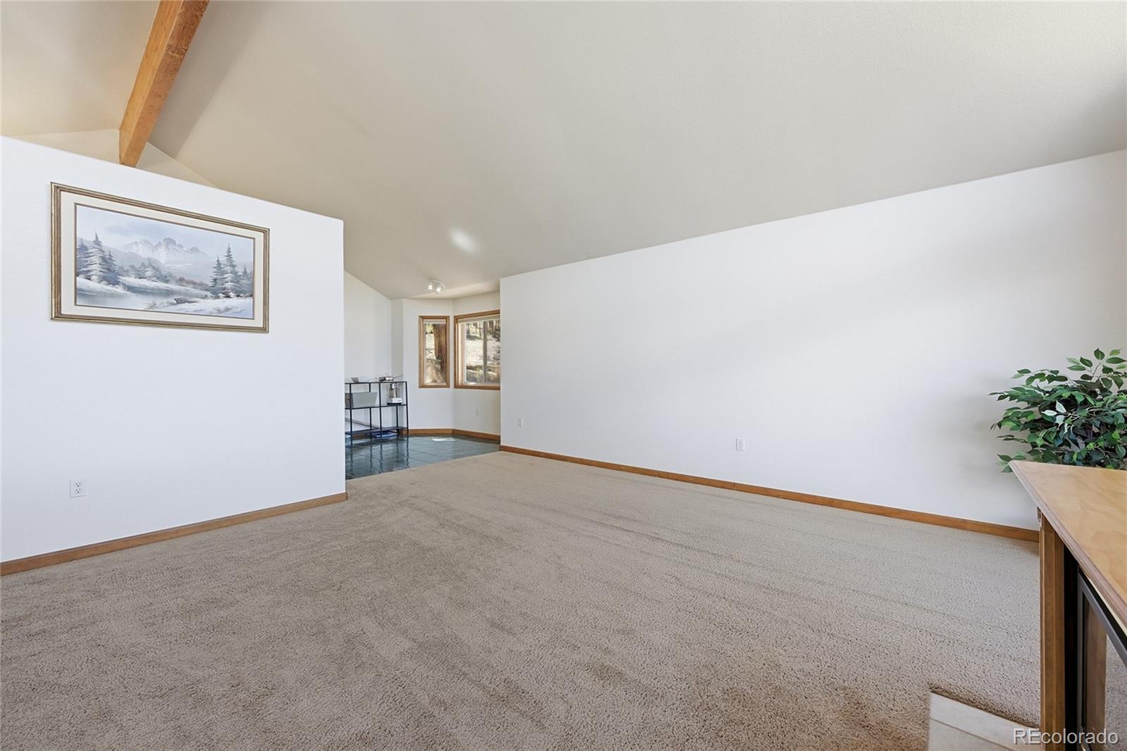MLS Image #8 for 146 s random road,bailey, Colorado