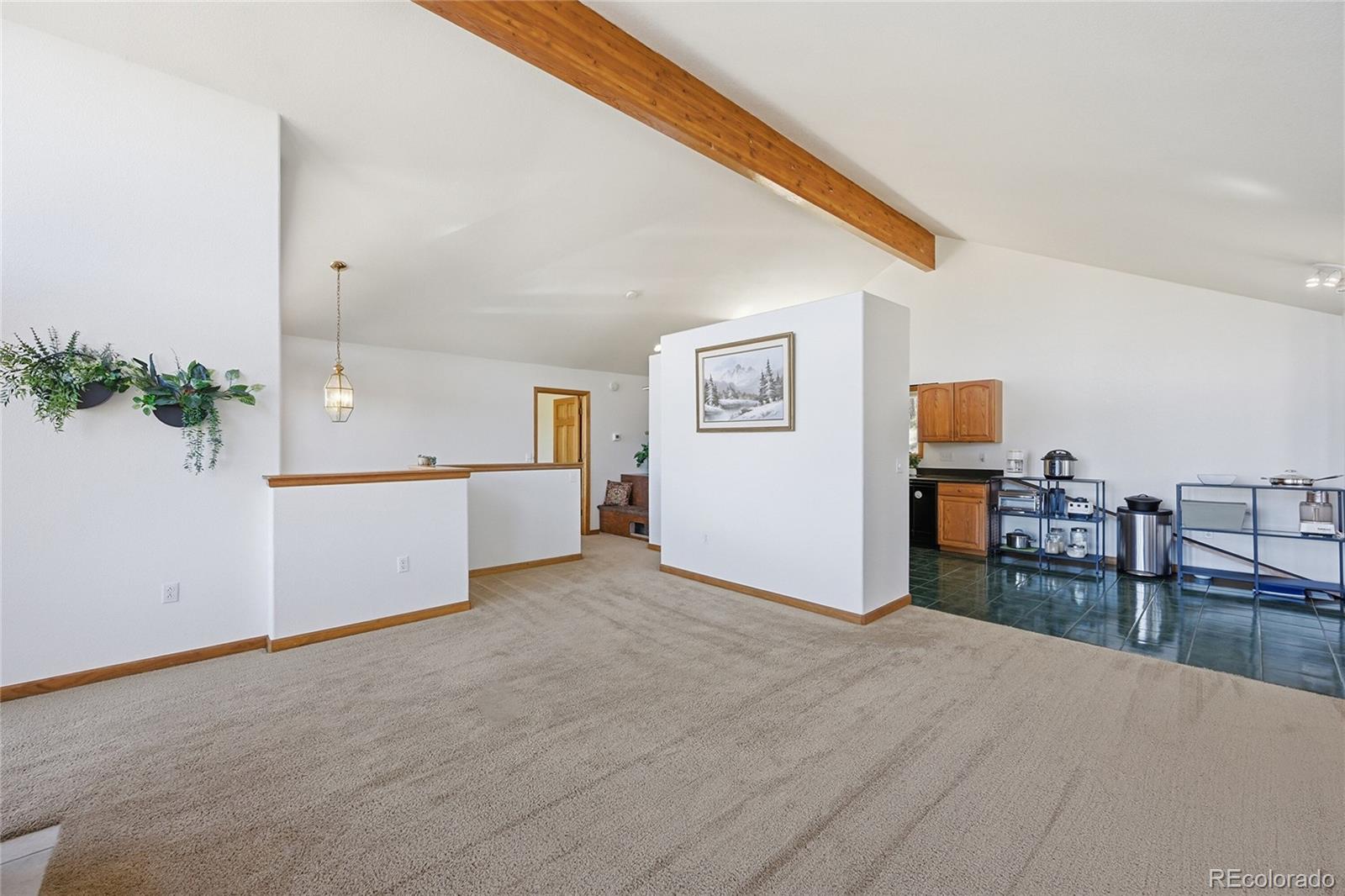 MLS Image #9 for 146 s random road,bailey, Colorado
