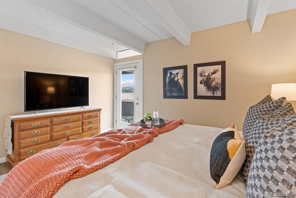 MLS Image #19 for 512  tenderfoot street,dillon, Colorado