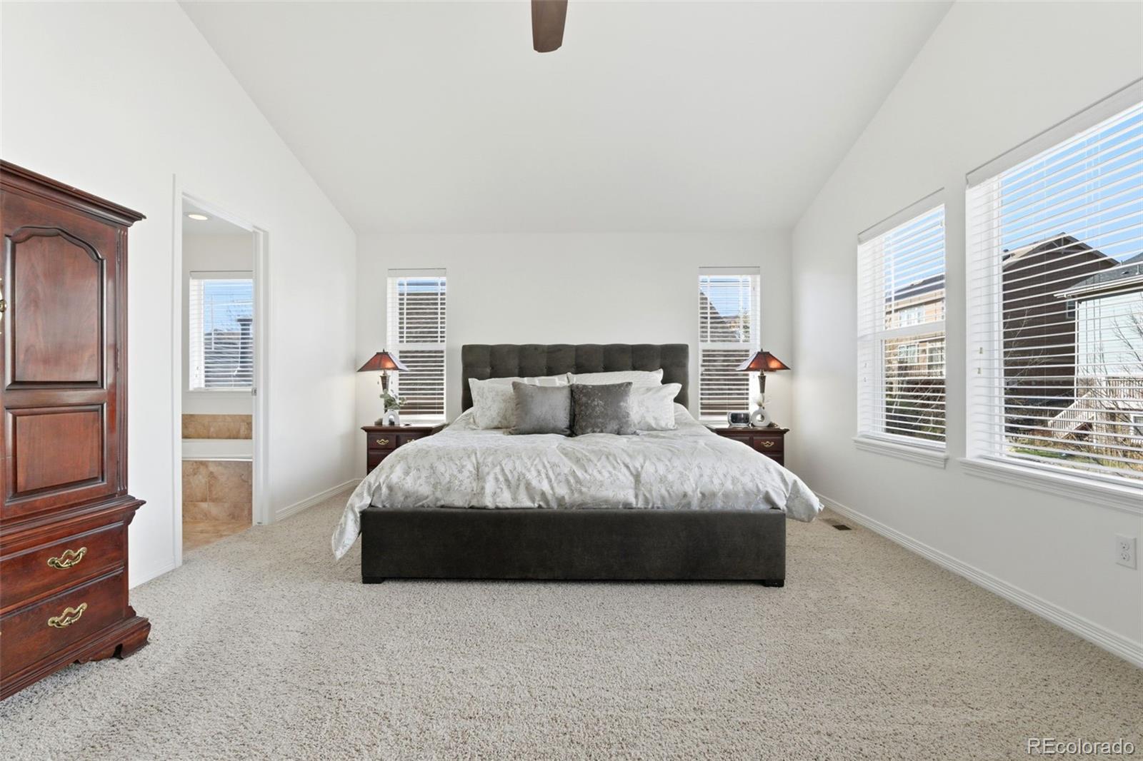 MLS Image #17 for 6247 s muscadine court,aurora, Colorado