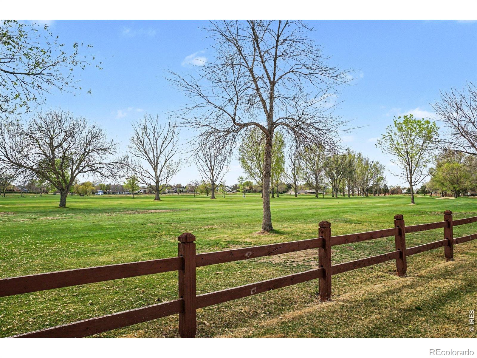 MLS Image #29 for 743  windflower drive,longmont, Colorado