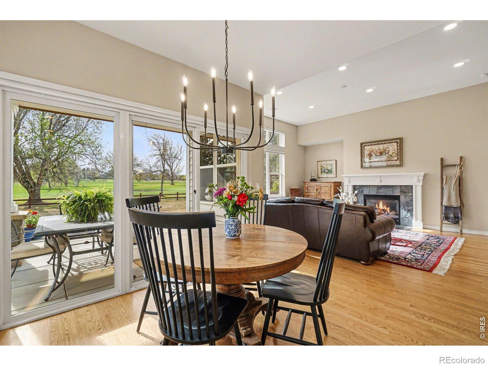 MLS Image #9 for 743  windflower drive,longmont, Colorado