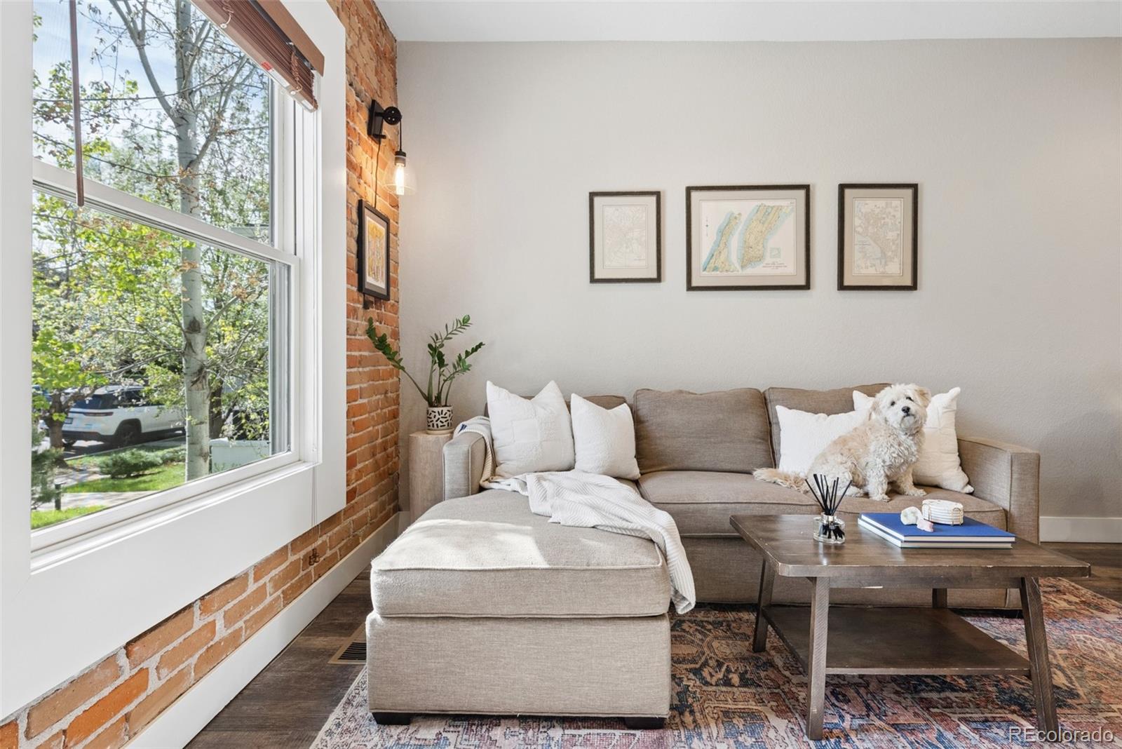 MLS Image #2 for 425 n corona street,denver, Colorado
