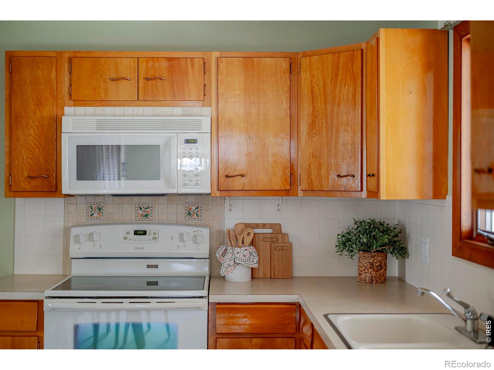 MLS Image #12 for 1036  sumac street,longmont, Colorado