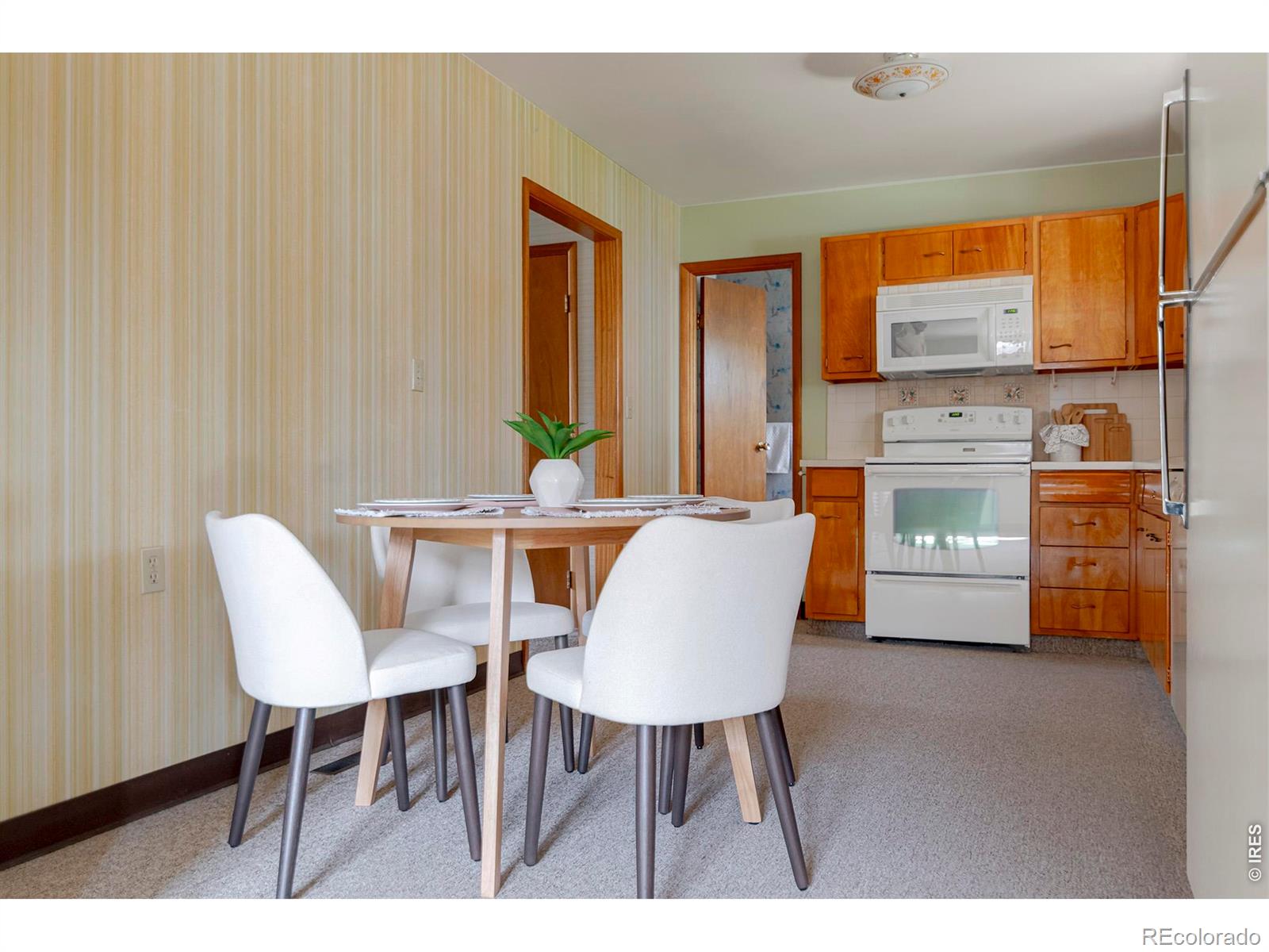 MLS Image #14 for 1036  sumac street,longmont, Colorado