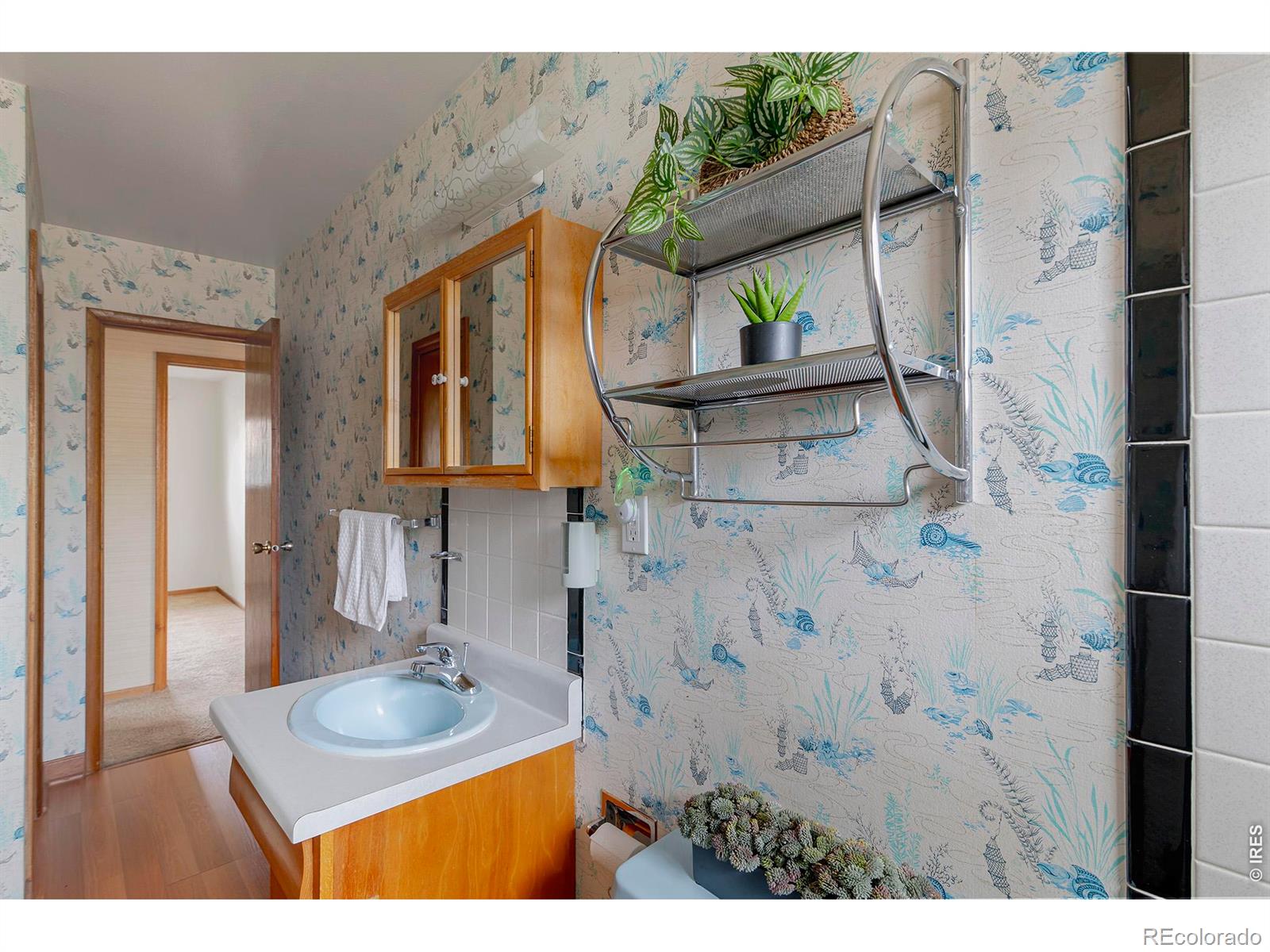 MLS Image #26 for 1036  sumac street,longmont, Colorado