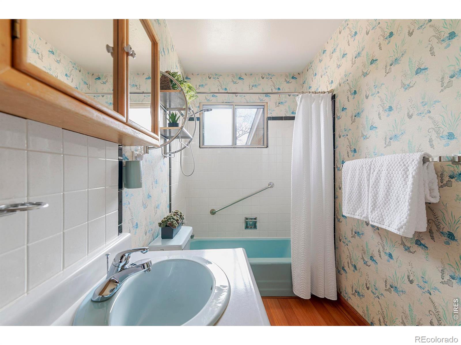 MLS Image #27 for 1036  sumac street,longmont, Colorado
