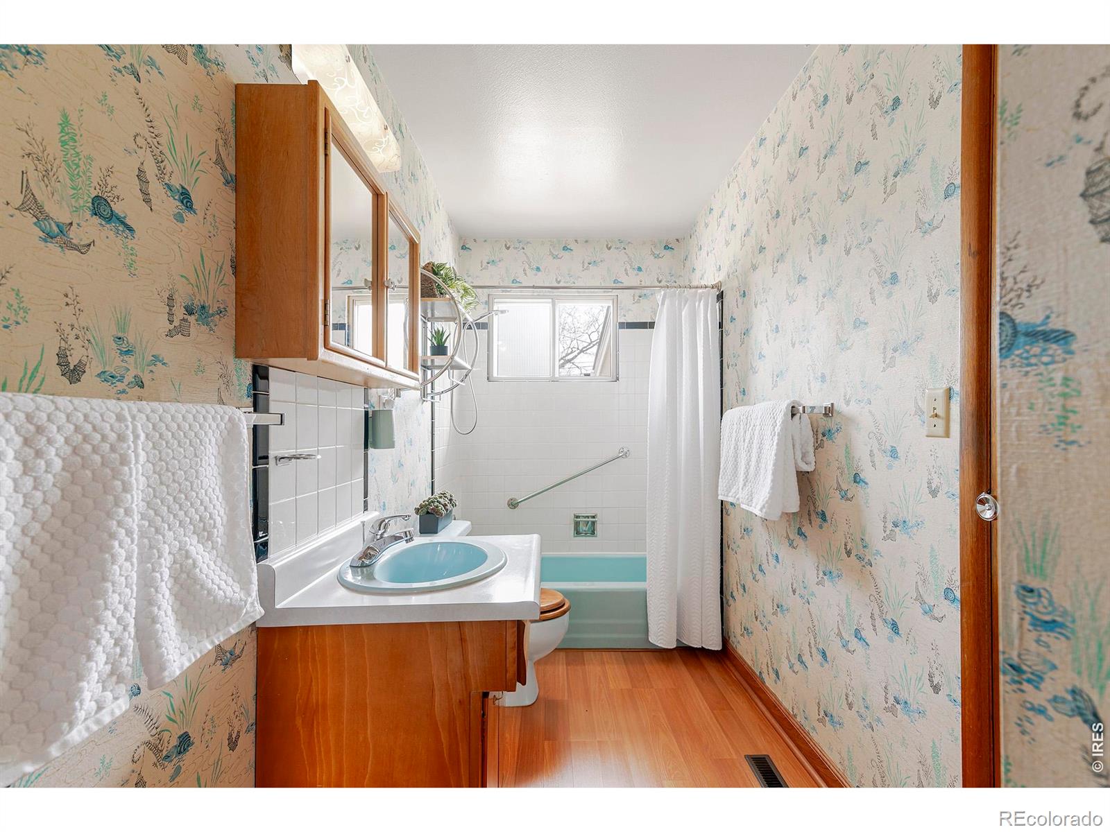 MLS Image #28 for 1036  sumac street,longmont, Colorado