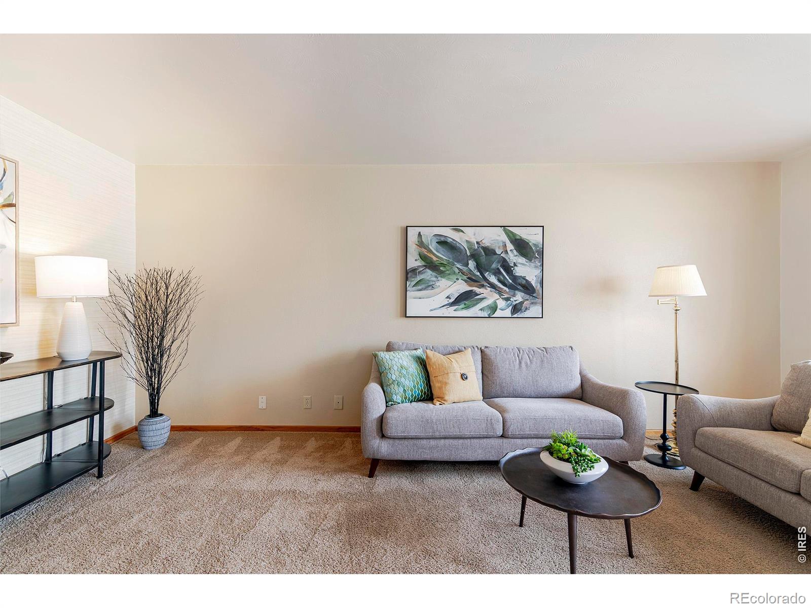 MLS Image #6 for 1036  sumac street,longmont, Colorado