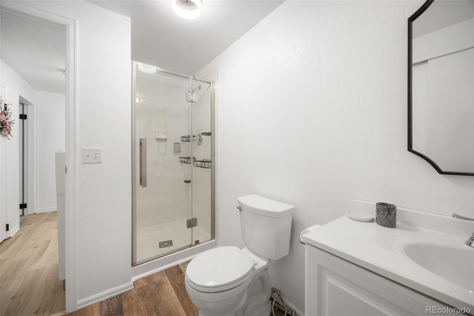 MLS Image #21 for 381  mountain cloud circle,highlands ranch, Colorado