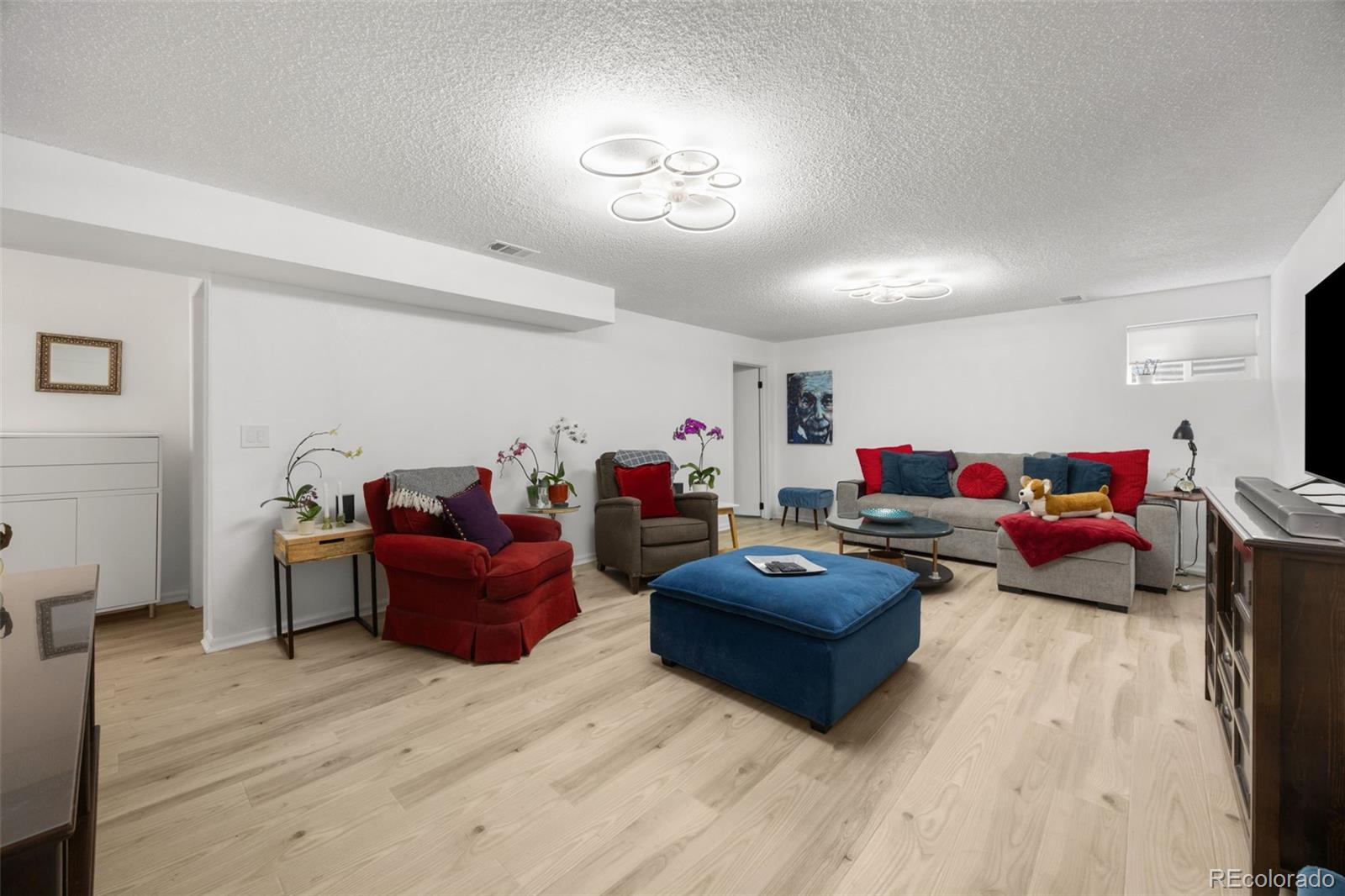 MLS Image #23 for 381  mountain cloud circle,highlands ranch, Colorado