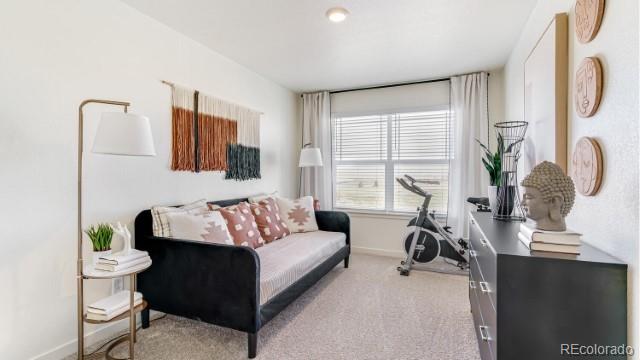 MLS Image #14 for 4601  combine lane,johnstown, Colorado