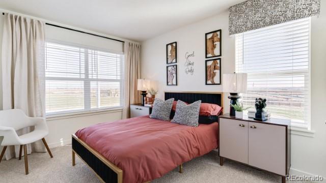 MLS Image #17 for 4601  combine lane,johnstown, Colorado