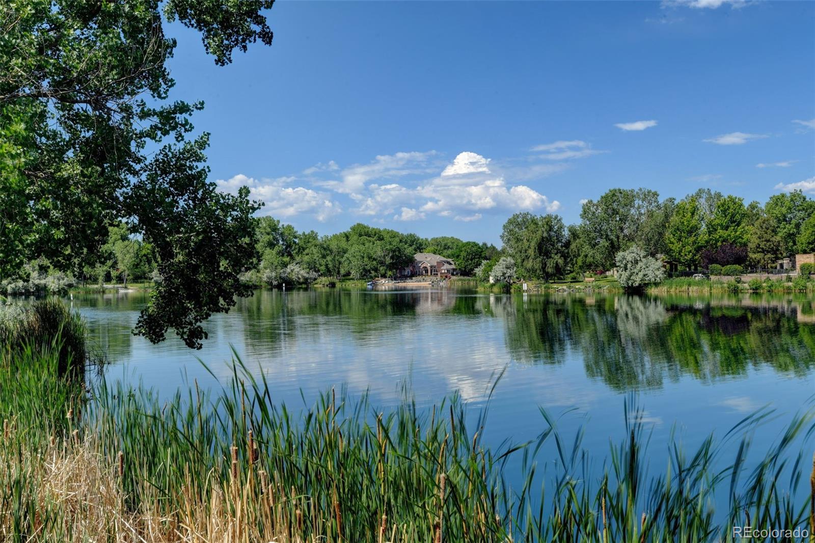 MLS Image #3 for 61  blue heron drive,thornton, Colorado