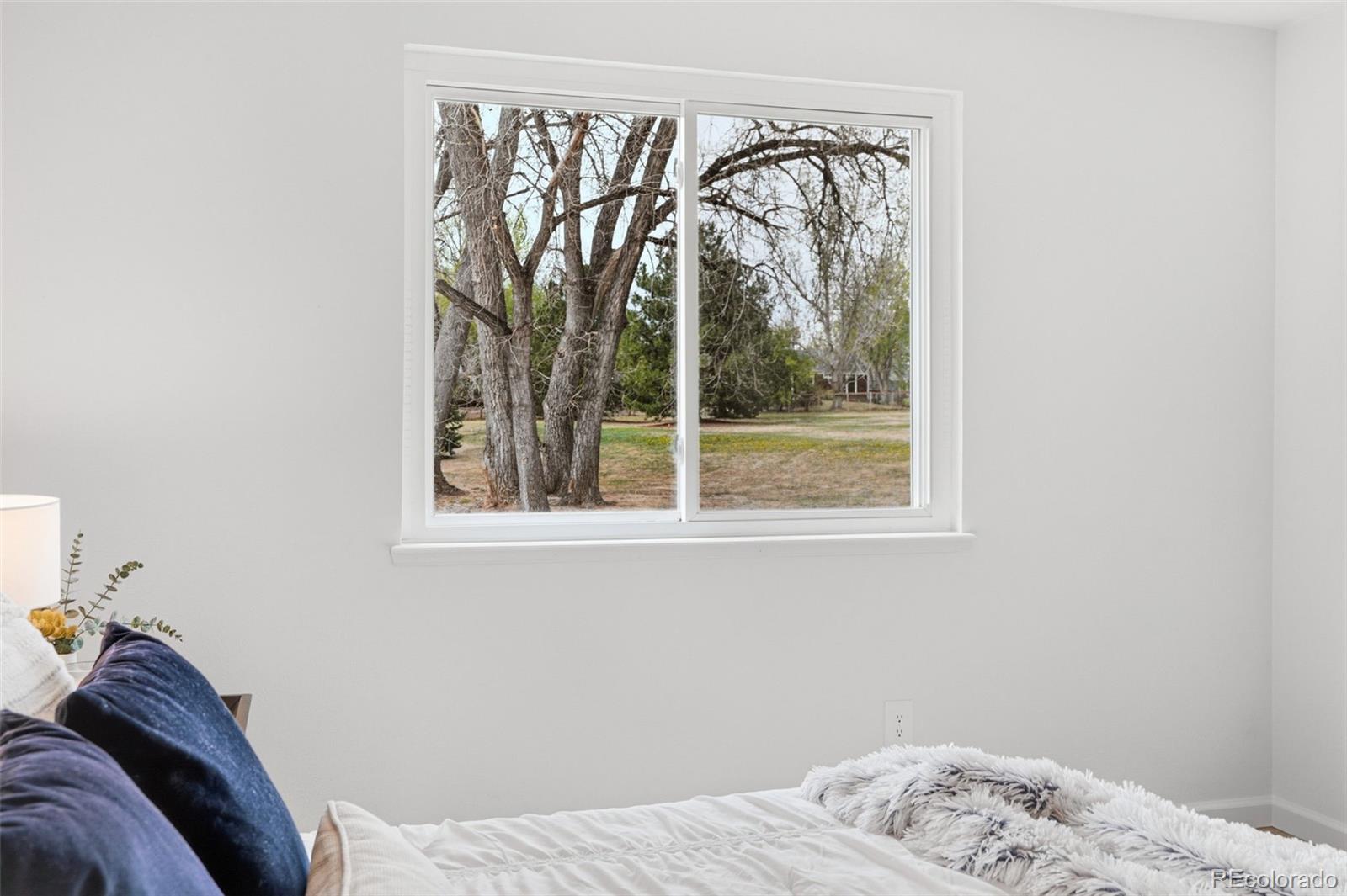 MLS Image #19 for 179 w sycamore lane,louisville, Colorado