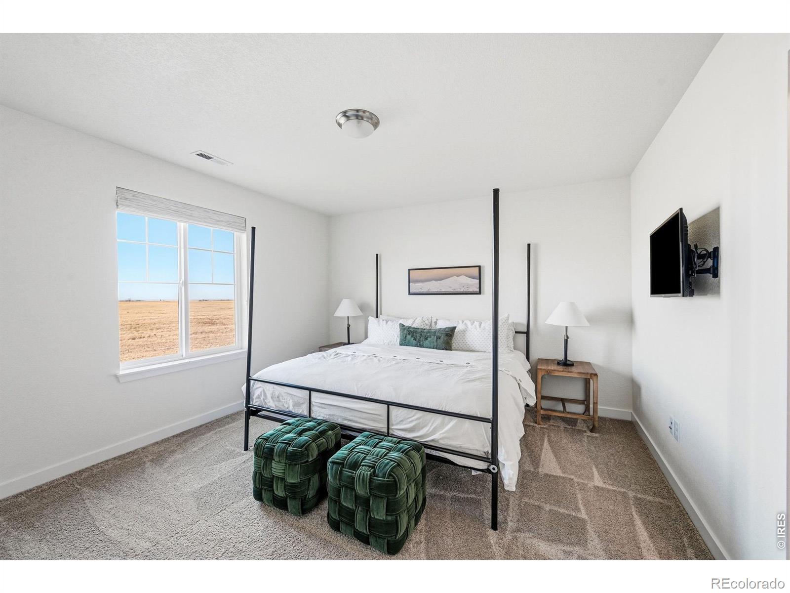 MLS Image #28 for 19133 w 95th lane,arvada, Colorado
