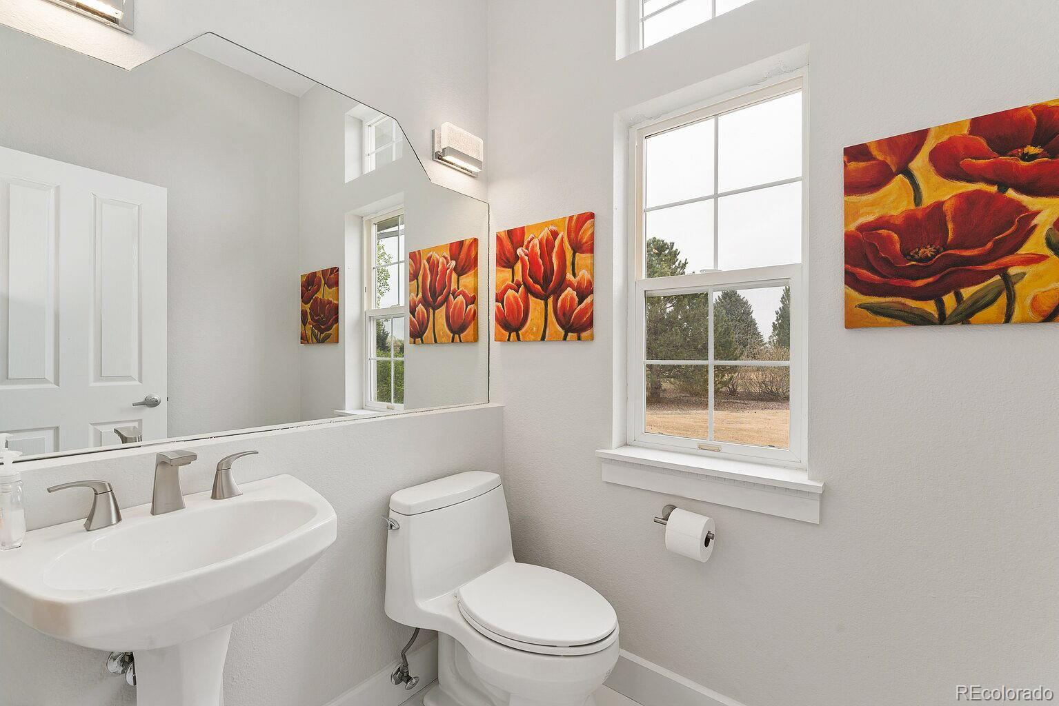 MLS Image #13 for 107  blue heron court,mead, Colorado