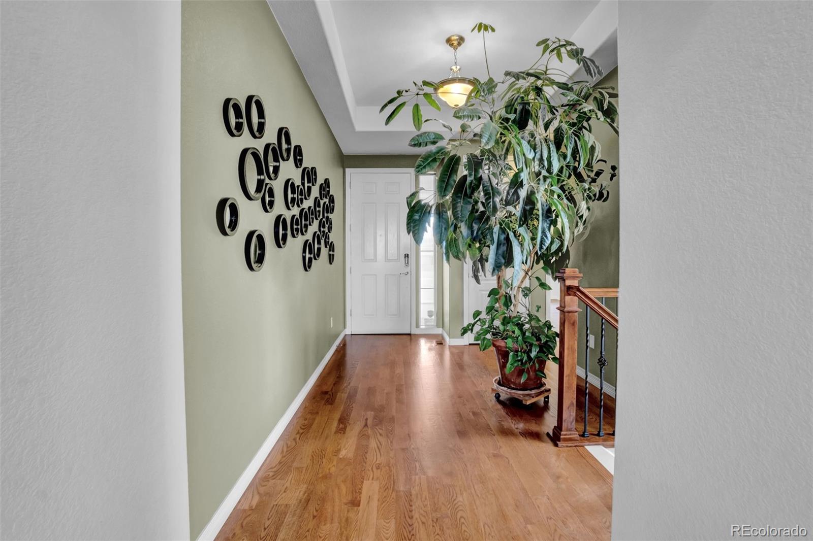 MLS Image #12 for 4178  red bird court,castle rock, Colorado