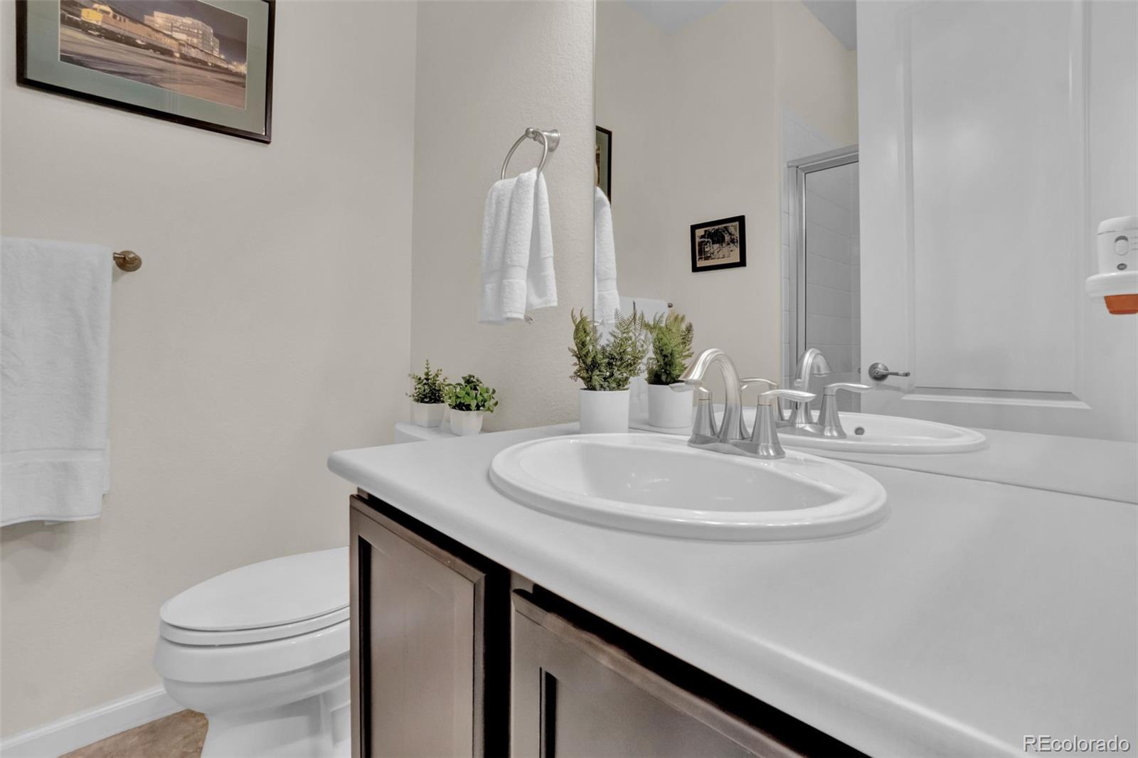MLS Image #19 for 4178  red bird court,castle rock, Colorado