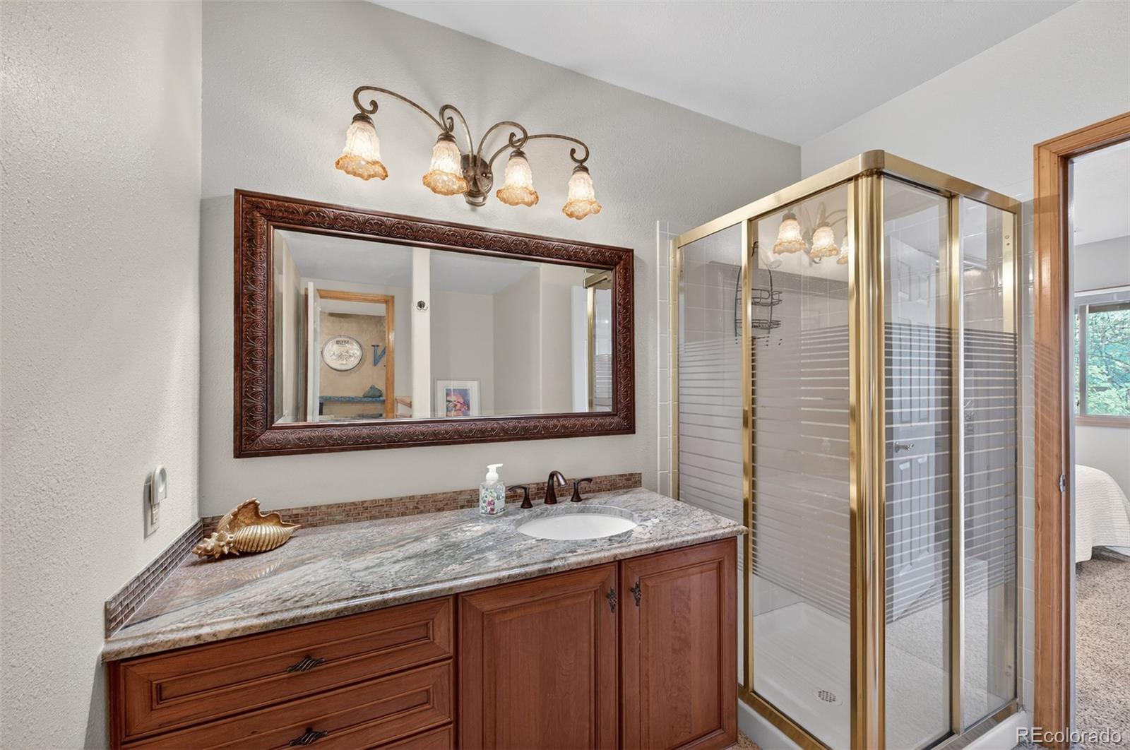 MLS Image #29 for 173  willowleaf drive,littleton, Colorado