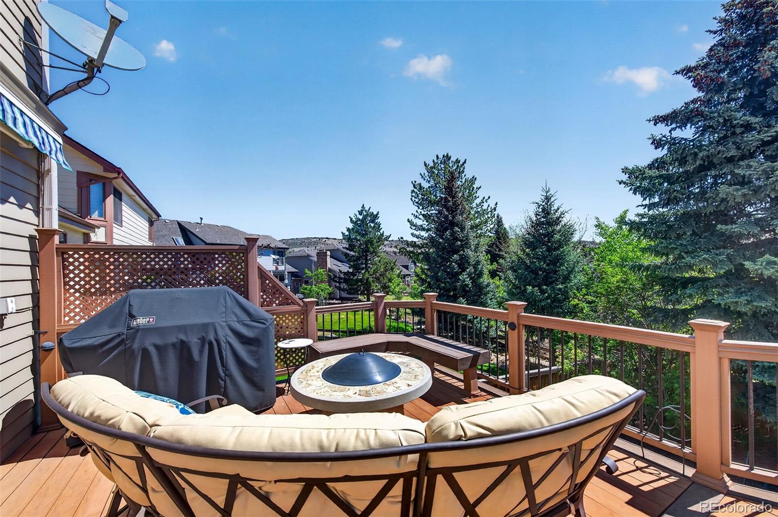 MLS Image #46 for 173  willowleaf drive,littleton, Colorado