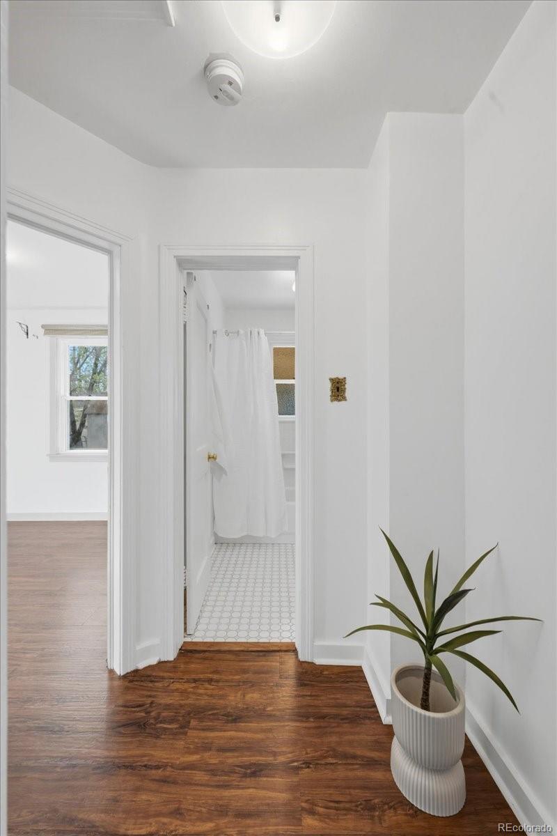 MLS Image #14 for 5005  steele street,denver, Colorado
