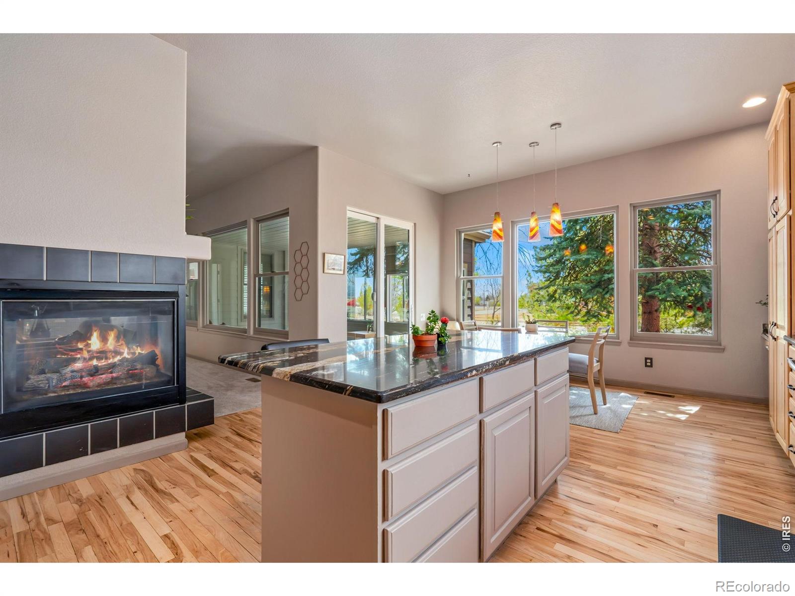 MLS Image #10 for 3165  sedgwick circle,loveland, Colorado
