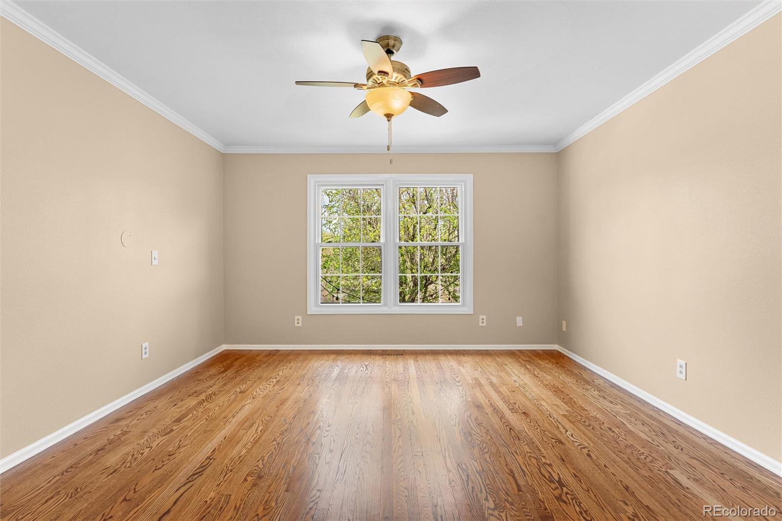 MLS Image #21 for 8926  greenspointe lane,highlands ranch, Colorado
