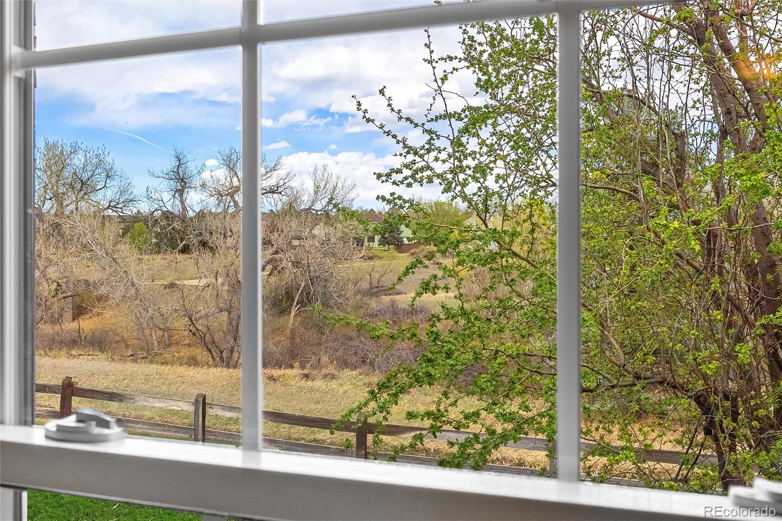 MLS Image #22 for 8926  greenspointe lane,highlands ranch, Colorado