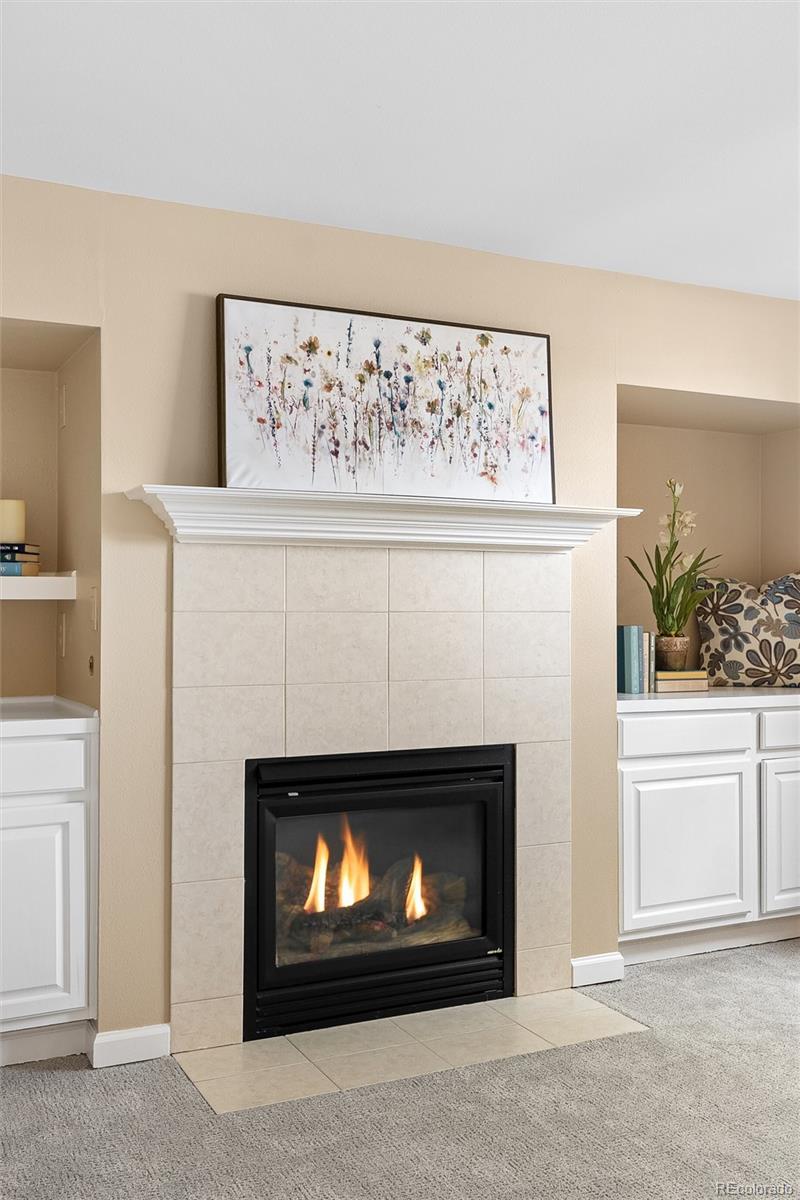 MLS Image #29 for 8926  greenspointe lane,highlands ranch, Colorado